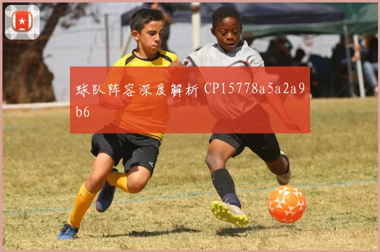 球队阵容深度解析 CP15778a5a2a9b6