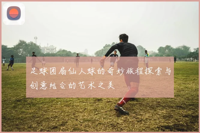 足球团扇仙人球的奇妙旅程探索与创意结合的艺术之美