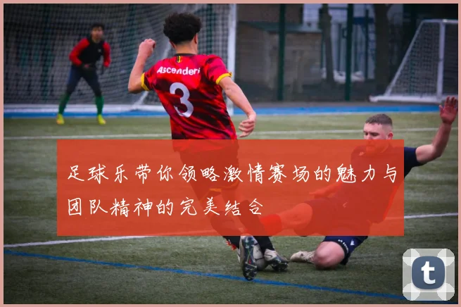 足球乐带你领略激情赛场的魅力与团队精神的完美结合