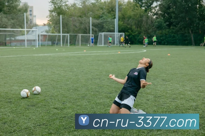 多媒体互动体验